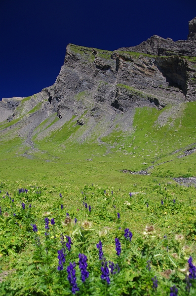 24h Hike Mammut_Ochsner 'Grosse Scheidegg _ Schwarzhorn 2927m' 18_08_2012 (104).JPG